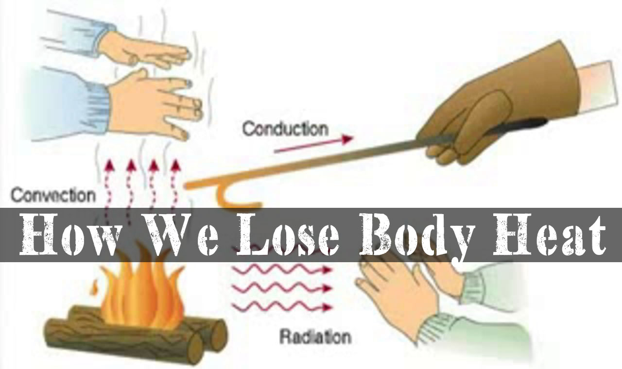 how-do-we-lose-body-heat-conduction-convection-and-radiation