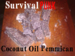 Coconut Oil Pemmican