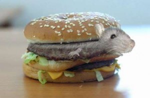 Rat burger