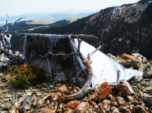 Silver Cloud Survival Shelter 