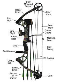 Compound Bow