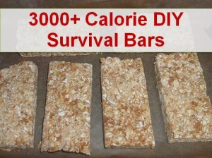 DIY Survival Rations