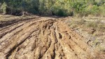 Dual Homestead Driveway