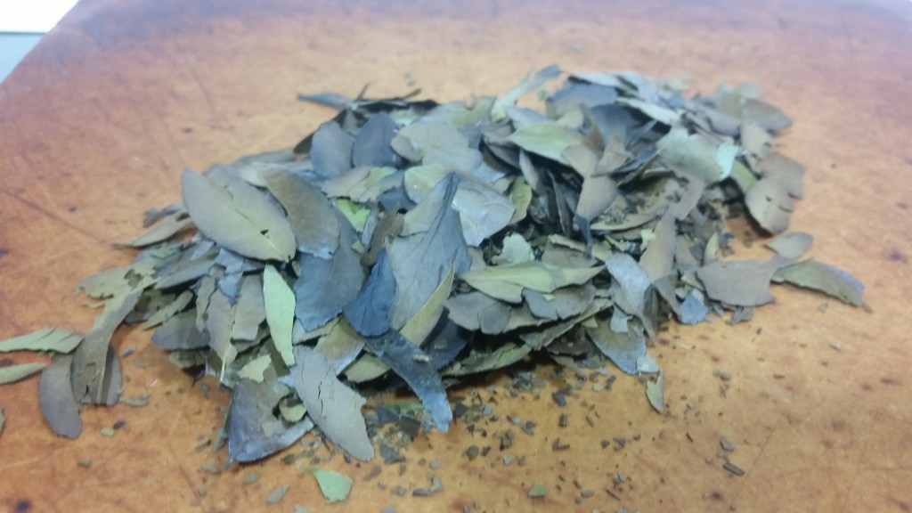 Roasted Yaupon Holly leaves