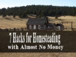 7 Hacks for Homesteading with Almost No Money