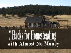 7 Hacks for Homesteading with Almost No Money