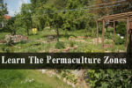 Permaculture Zones