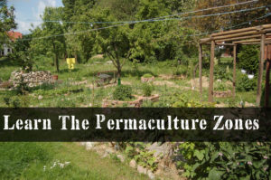 Permaculture Zones