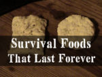 hardtack,Best Survival Foods That Lasts Forever