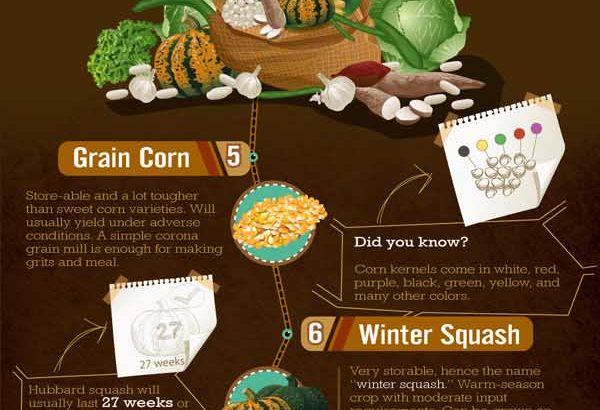 10 Best Survival Foods