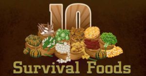 10 Best Survival Foods