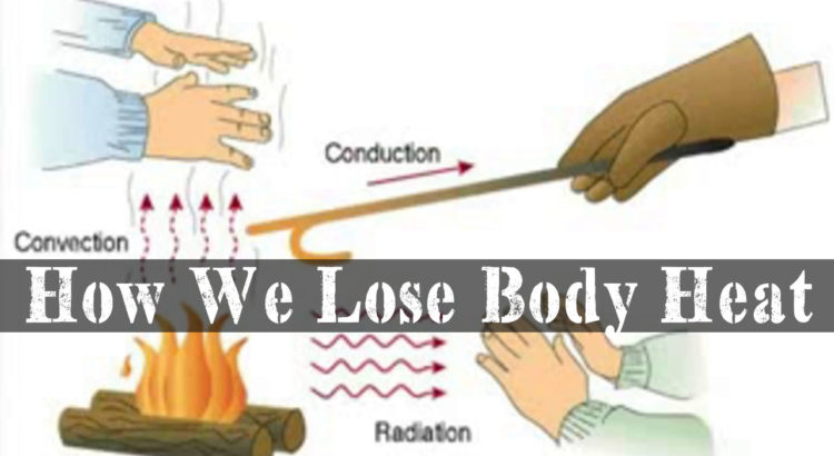 How Do We Lose Body Heat Conduction, Convection, And Radiation