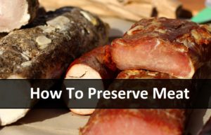 How To Preserve Meat | episode 150