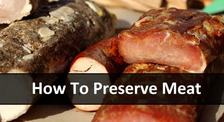 How To Preserve Meat | episode 150