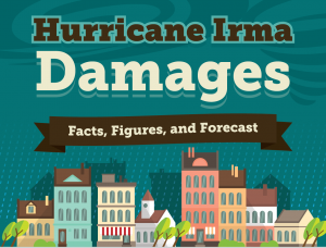 What Was The Damage Caused By Hurricane Irma Infographic