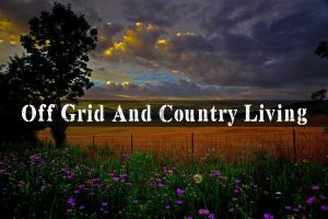 Off Grid And Country Living | episode 177