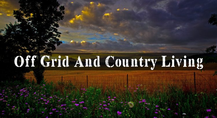 Off Grid And Country Living | episode 177