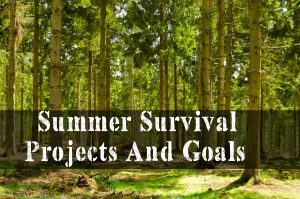 Summer Survival Projects And Goals