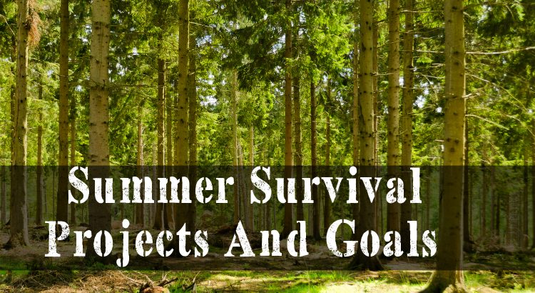 Summer Survival Projects And Goals