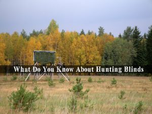 What Do You Know About Hunting Blinds