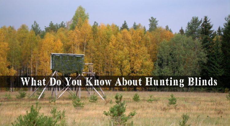 What Do You Know About Hunting Blinds