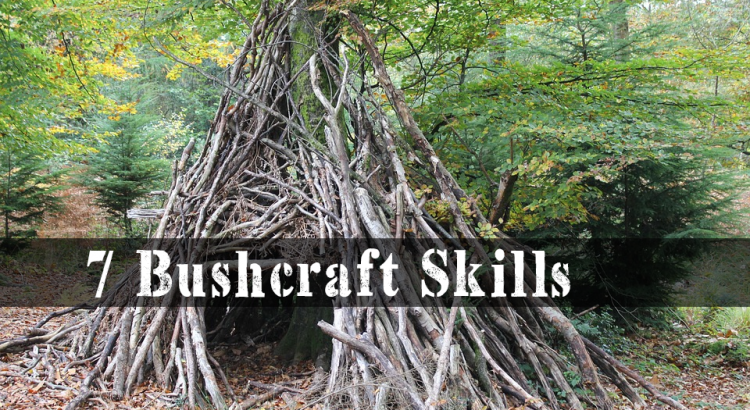 7 Bushcraft Skills That Will Help You Survive in The Wild