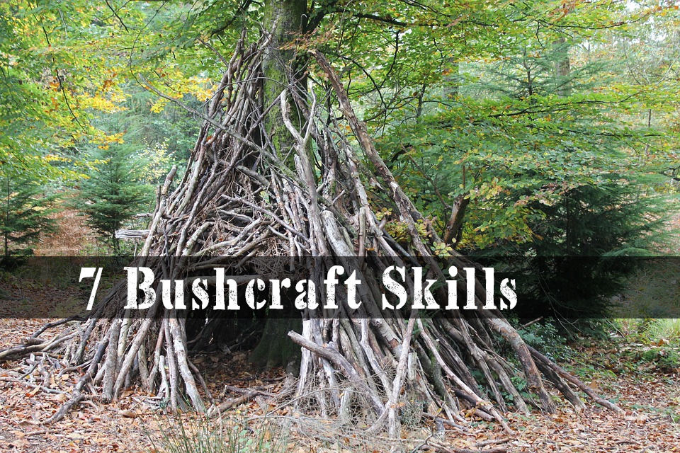 7 Bushcraft Skills That Will Help You Survive in The Wild