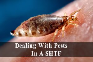 Dealing With Pests In A SHTF