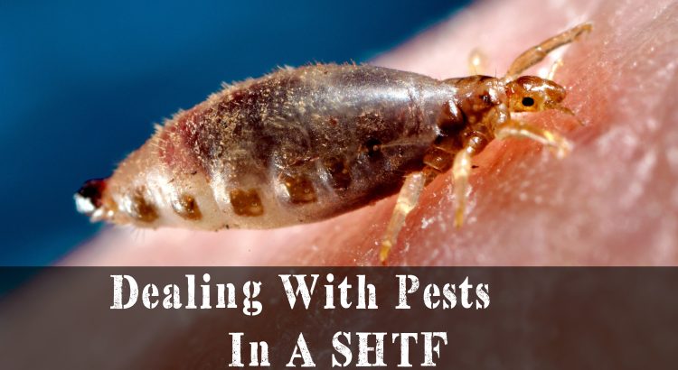 Dealing With Pests In A SHTF