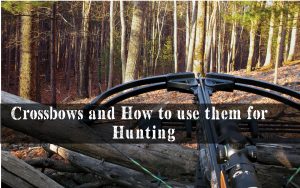 Crossbows and How to use them for Hunting