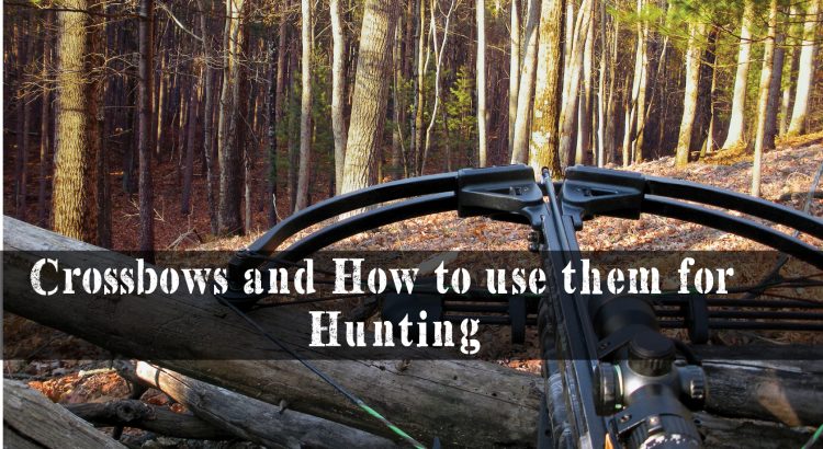 Crossbows and How to use them for Hunting