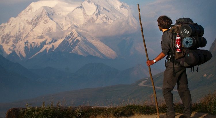 Mount Mckinley, Hiker, Snow, Landscape, Hiking, Nature