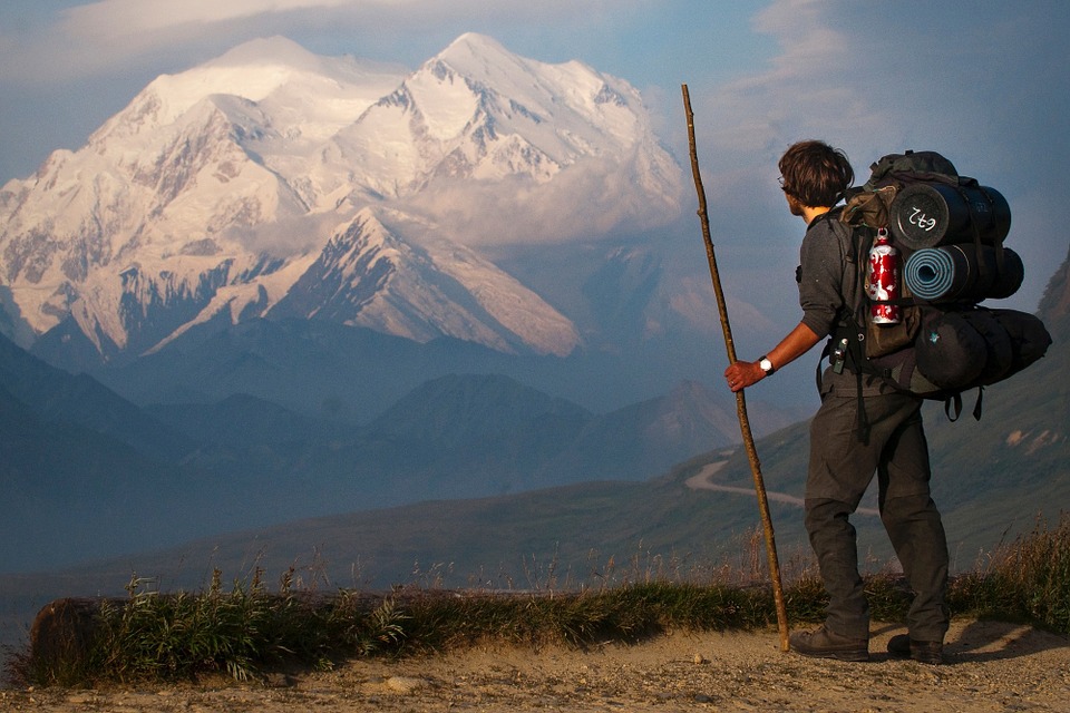 Mount Mckinley, Hiker, Snow, Landscape, Hiking, Nature