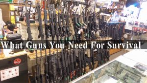 What guns you need for survival