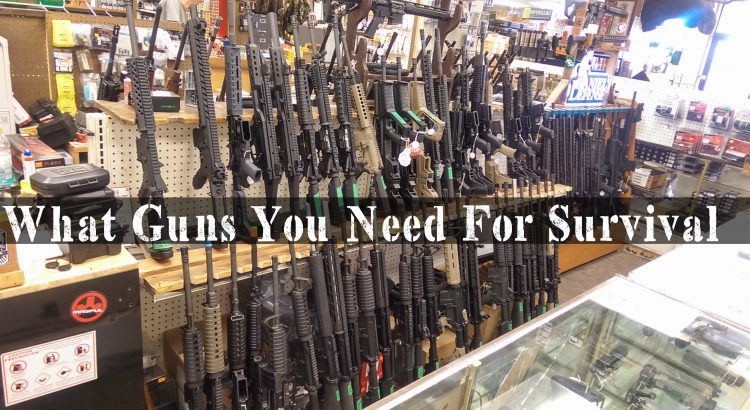 What guns you need for survival