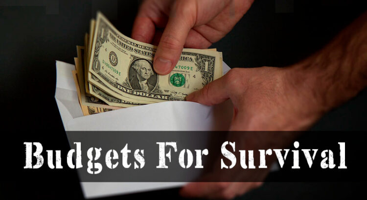 Budgets For Survival