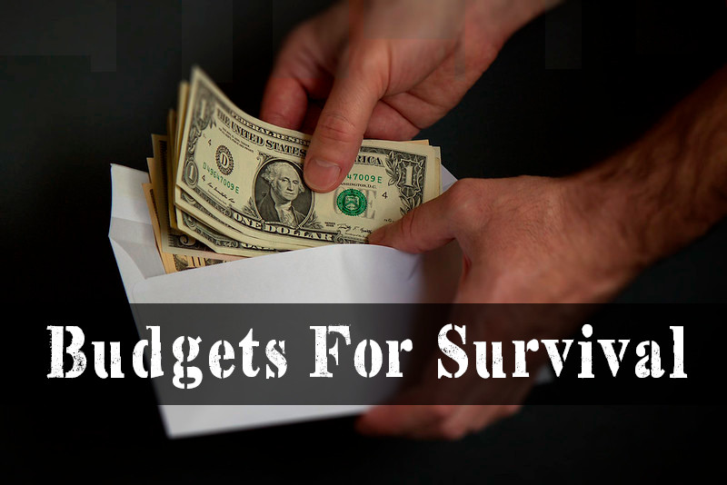 Budgets For Survival